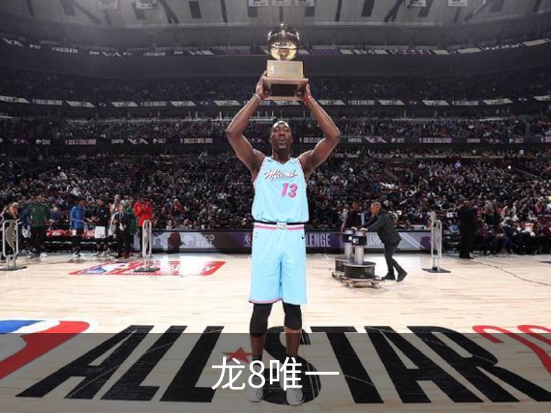 了解龙8唯一